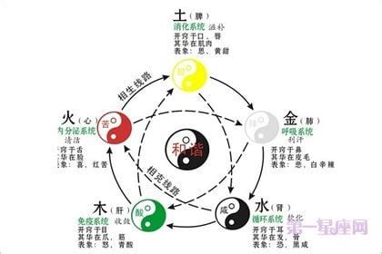 5行屬性|生辰八字查詢，生辰八字五行查詢，五行屬性查詢